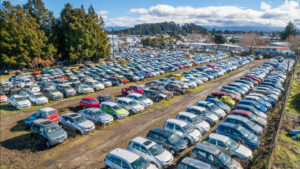 car wrecker hamilton's yard in Frankton Hamilton